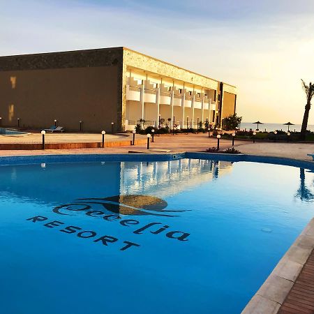 Cecelia Resort Hurghada Exteriör bild